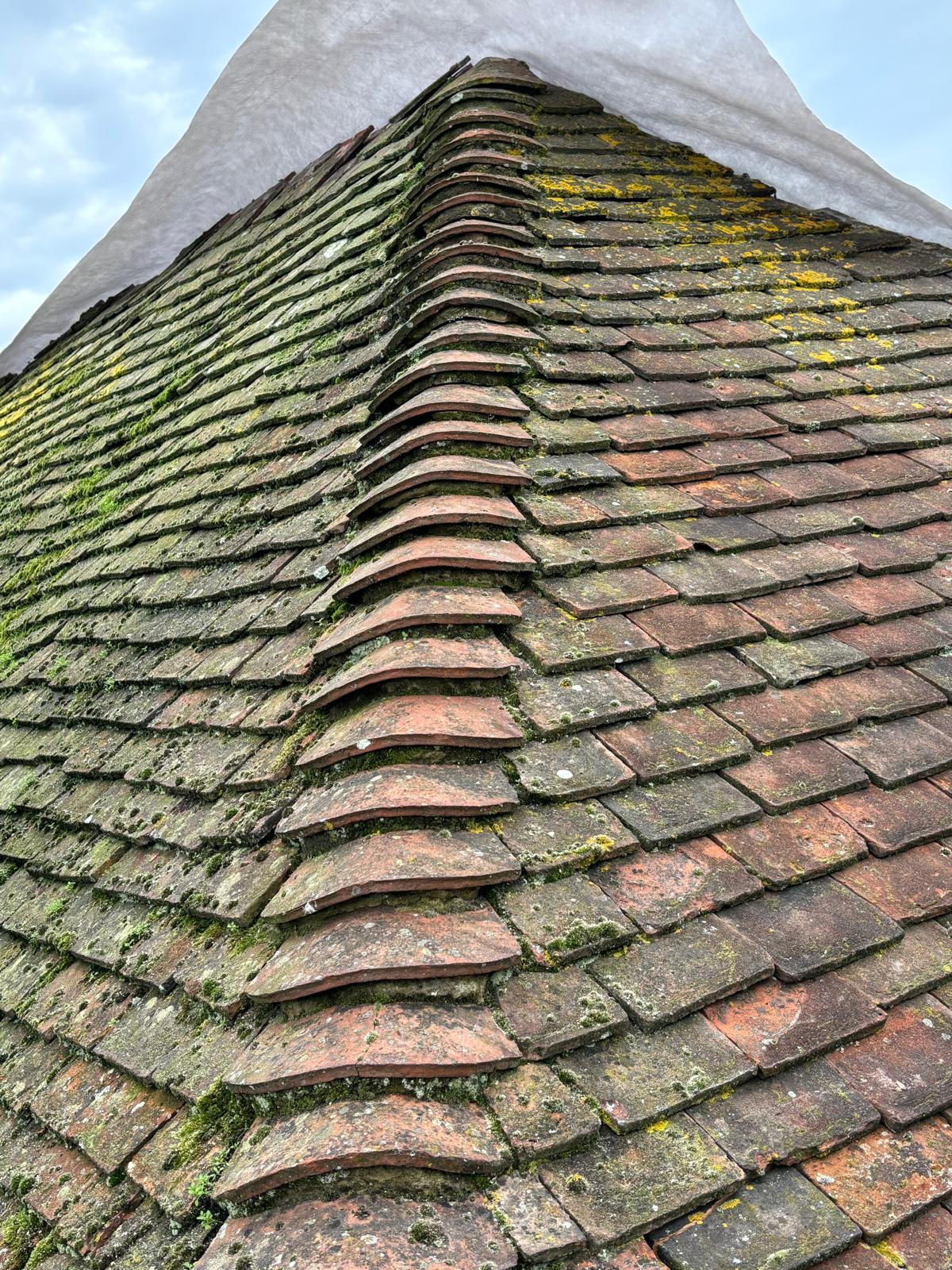 Roofers Services Near Me in St Pancras