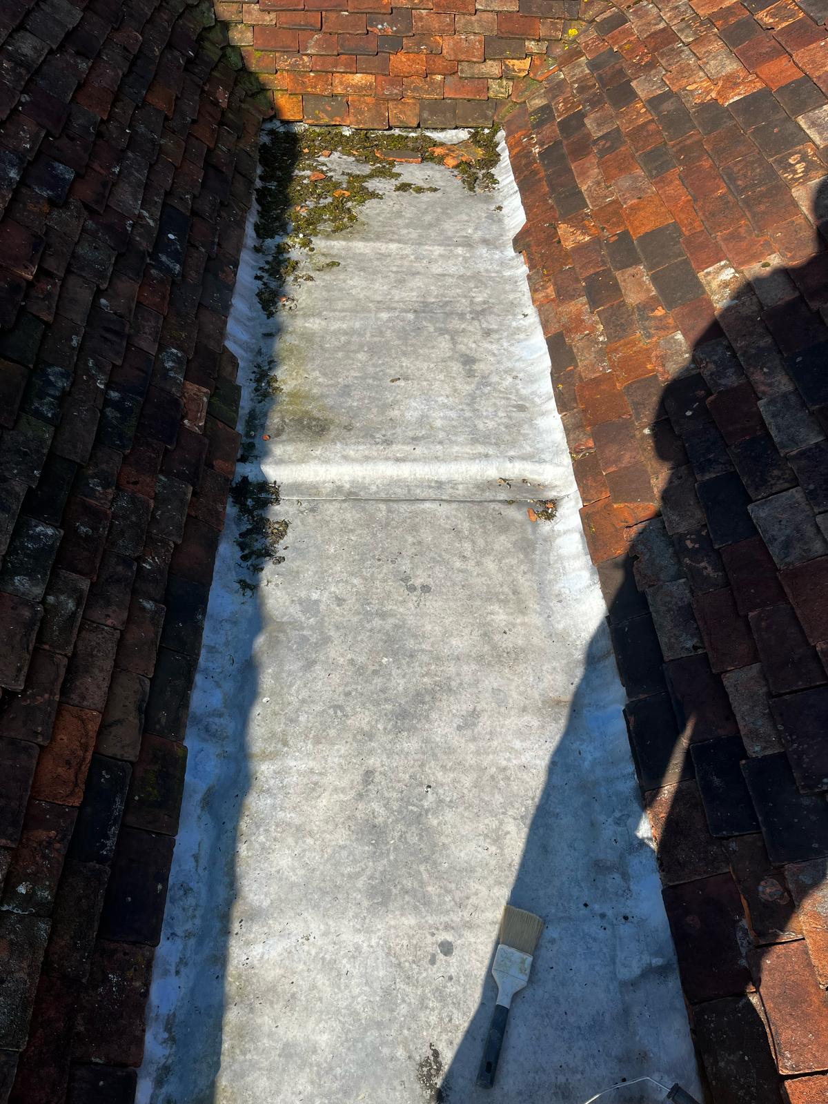 Roof needing repair in London
